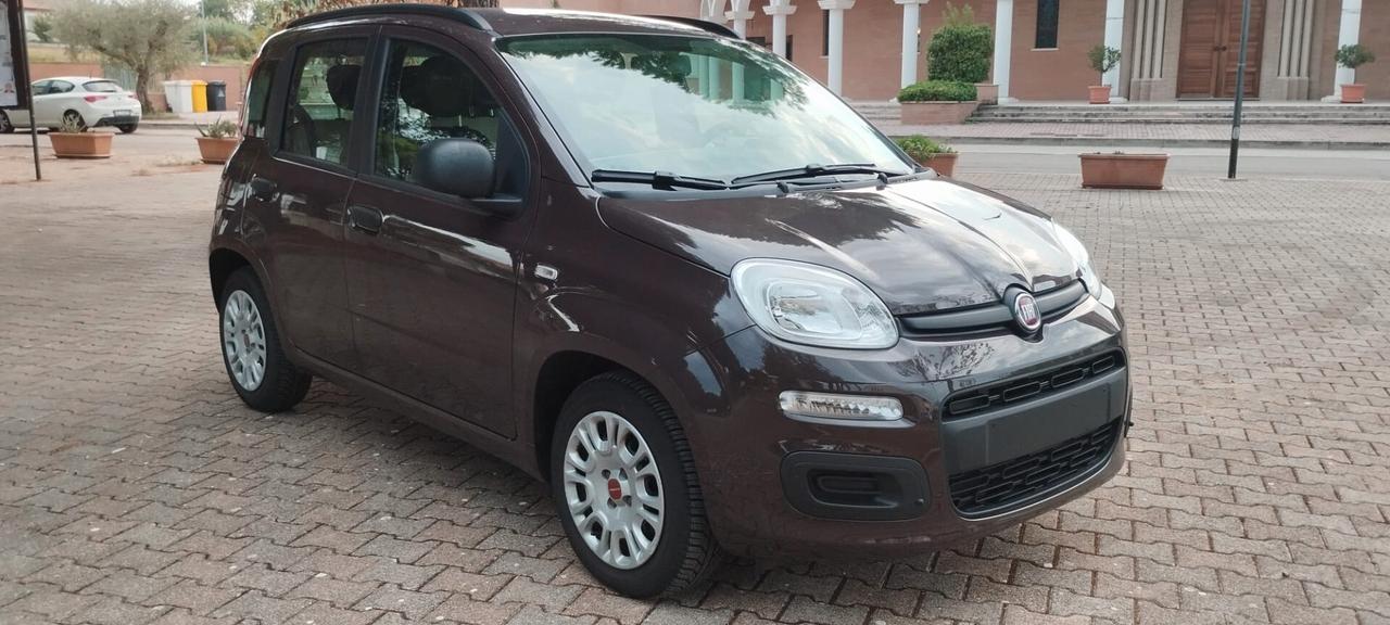 Fiat Panda Lounge 1.2 Fire 02/13 km 75.589