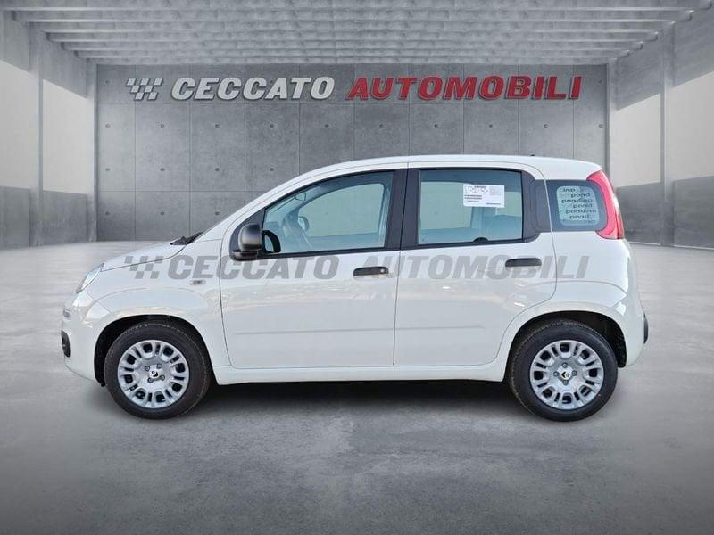 FIAT Pandina Pandina 1.0 65cv Hybrid Icon