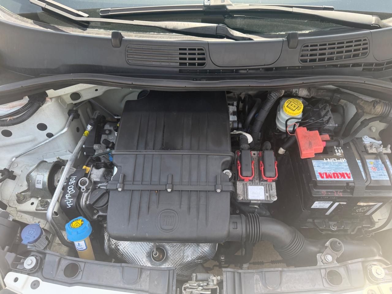 Fiat Panda 1.2 Benz 69Cv 2013 NEOPATENTATI