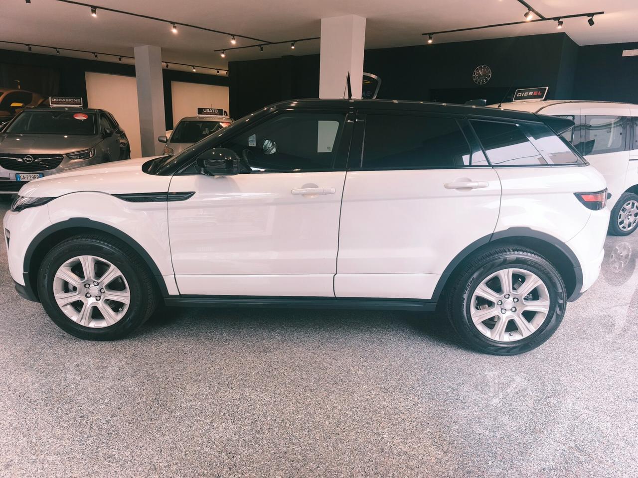 Land Rover Range Evoque 2.0 TD4 150 CV 5p. SE Dynamic
