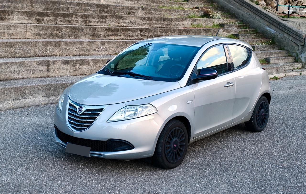 Lancia Ypsilon 1.3 MJT 16V 95 CV 5 porte S&S Platinum