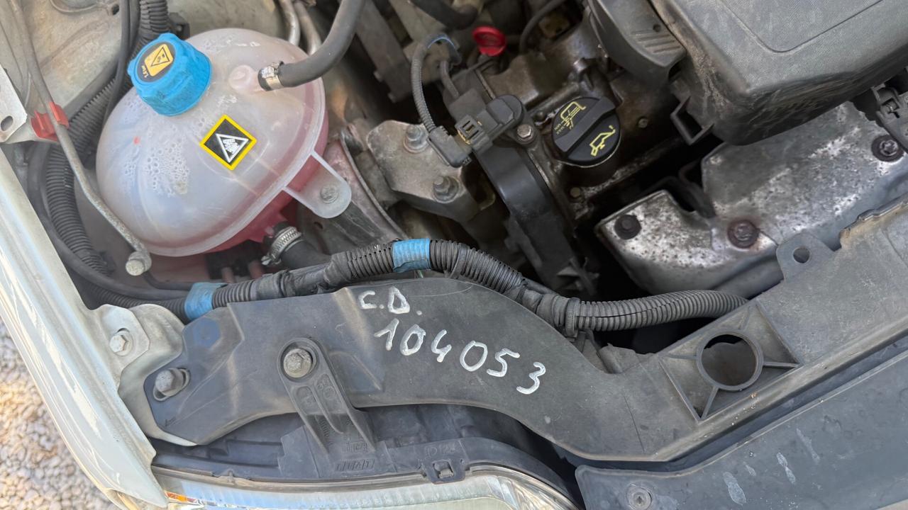 Fiat Panda 1.2 4x4 Climbing con Climatizzatore