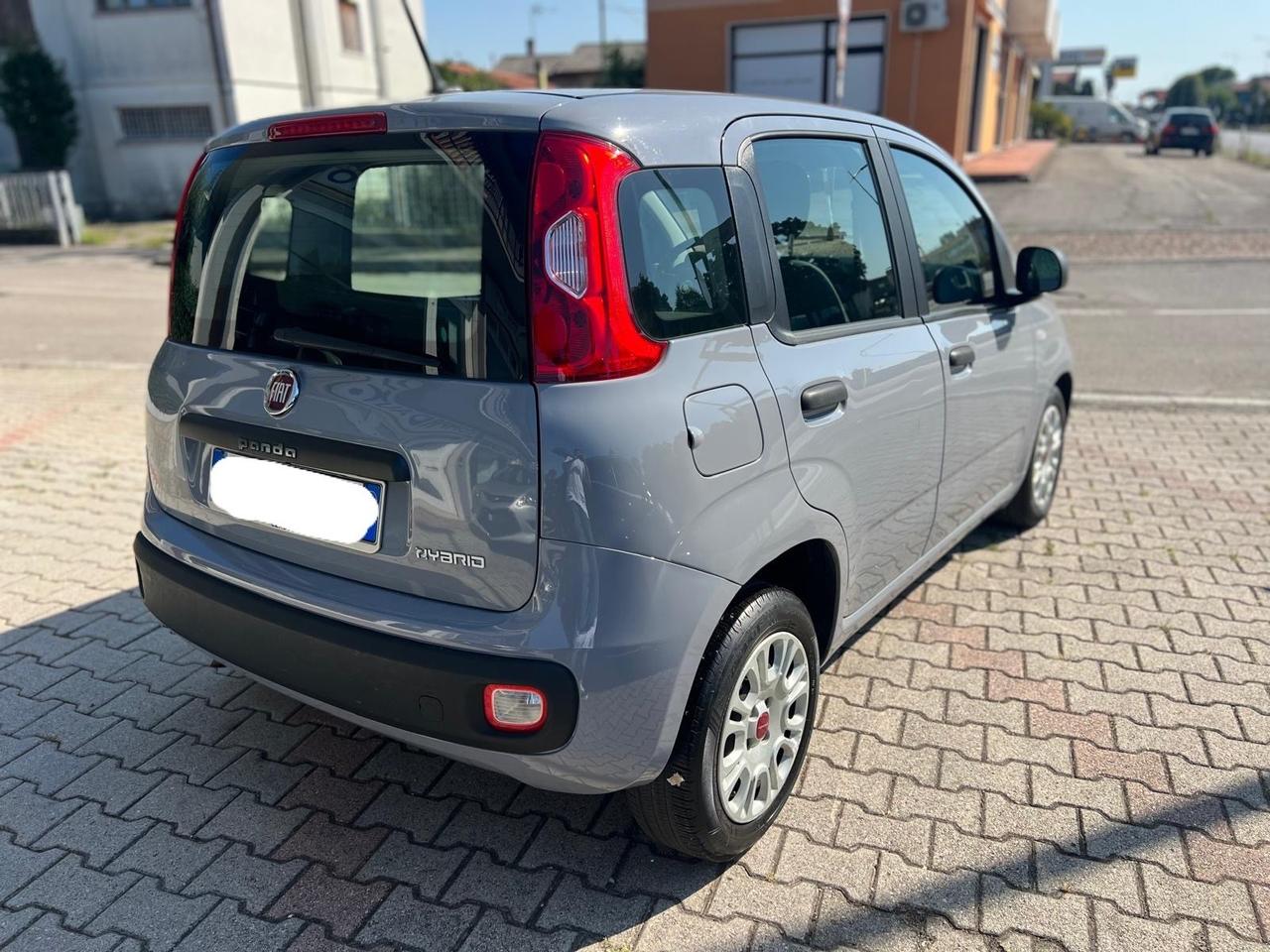 Fiat Panda 1.0 FireFly S&S Hybrid ok Neopatentati
