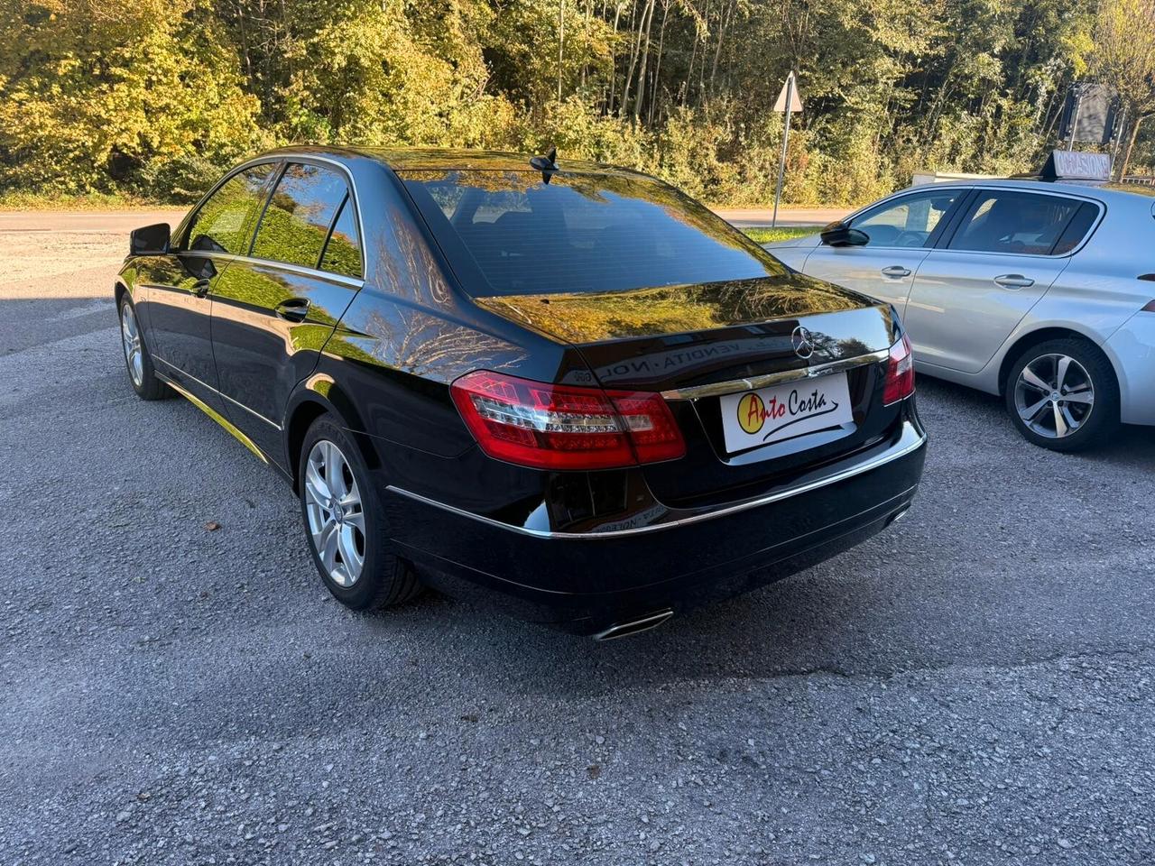 Mercedes-benz E 220 CDI BlueEFFICIENCY Avantgarde