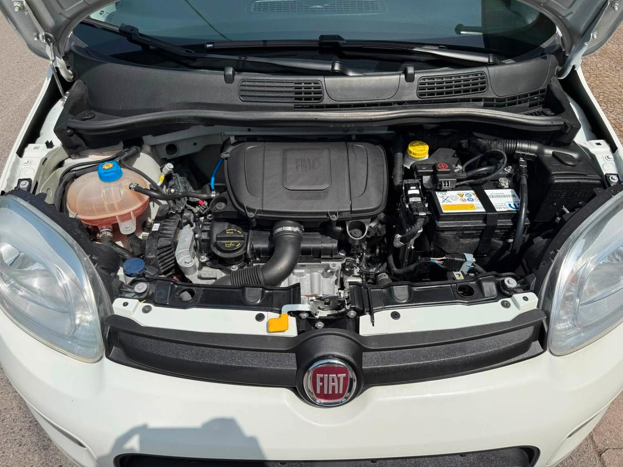 Fiat Panda 1.0 GSE S&S Hybrid Pop Van 2 posti