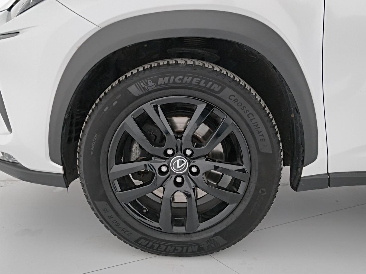 Lexus NX 300h 2.5 Business 2wd