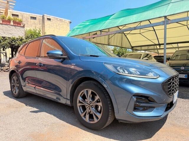 Ford Kuga 1.5 EcoBlue 120 CV aut. 2WD ST-Line N1