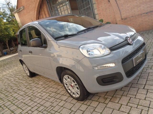 Fiat Panda 1.2 Easy € 6