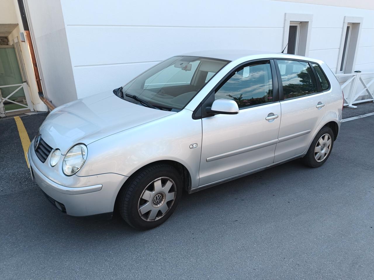 Polo neopatentati 5 porte