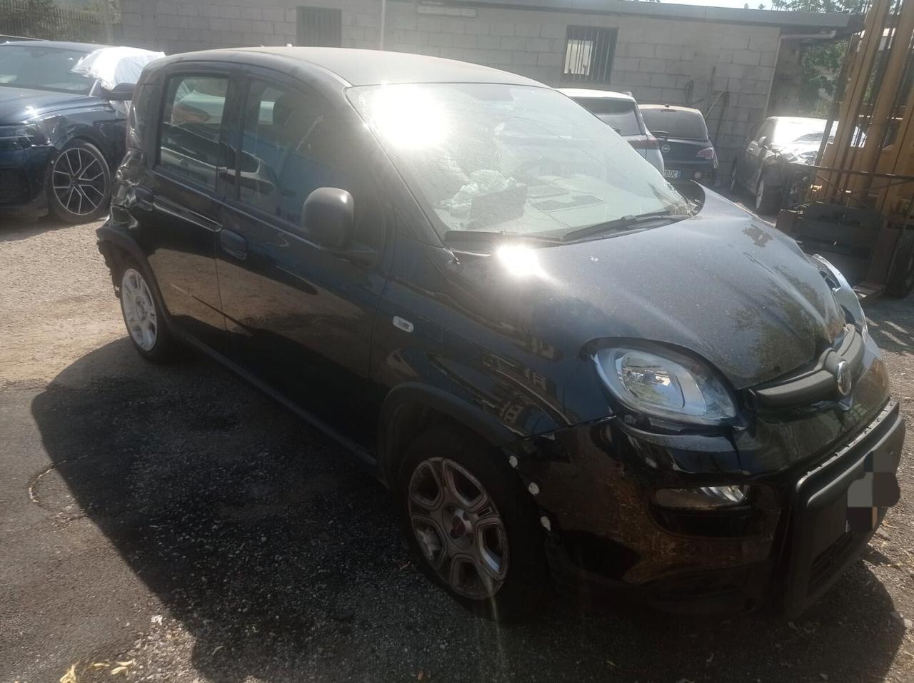 Fiat Panda 1.0 FireFly S&S Hybrid 9000km-2024