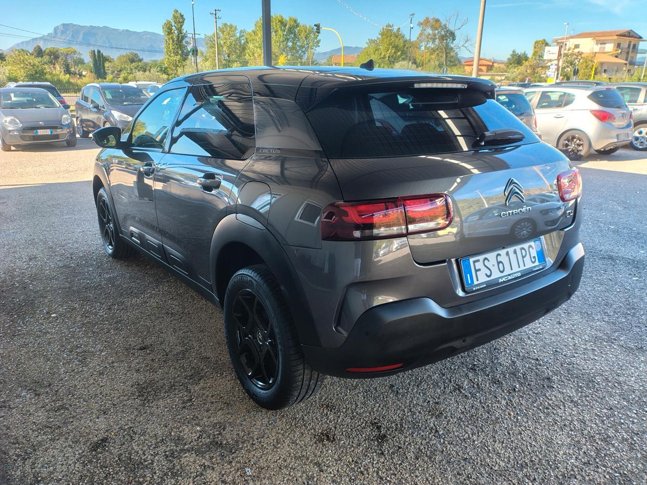 Citroen C4 Cactus BlueHDi 100 S&S Shine