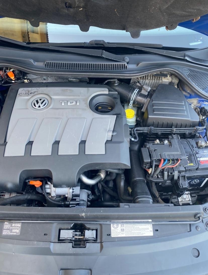 Volkswagen Polo TDI TAGLINDATA CERTIFICATA
