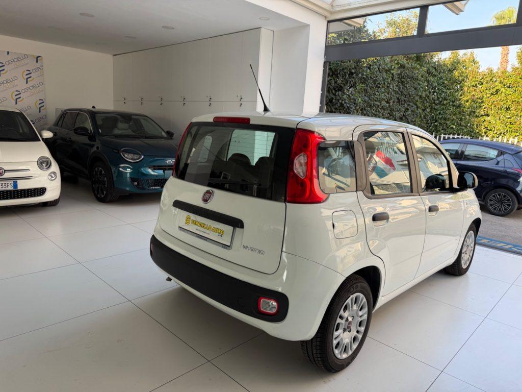 Fiat Panda 1.0 S&S Hybrid easy TUA DA €120,00 MENSILI ANT.0