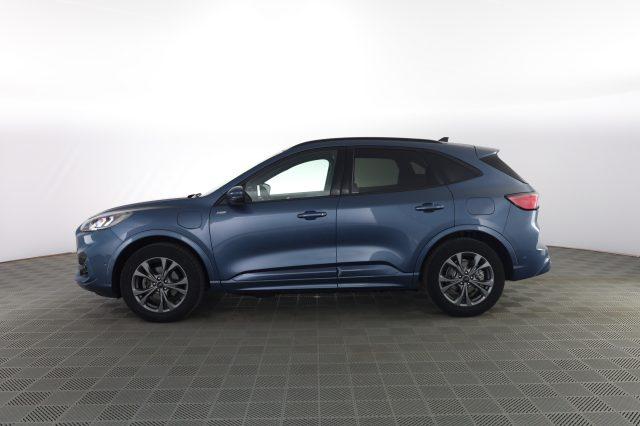 FORD Kuga Kuga 2.5 Plug In Hybrid 225 CV CVT 2WD ST-Line