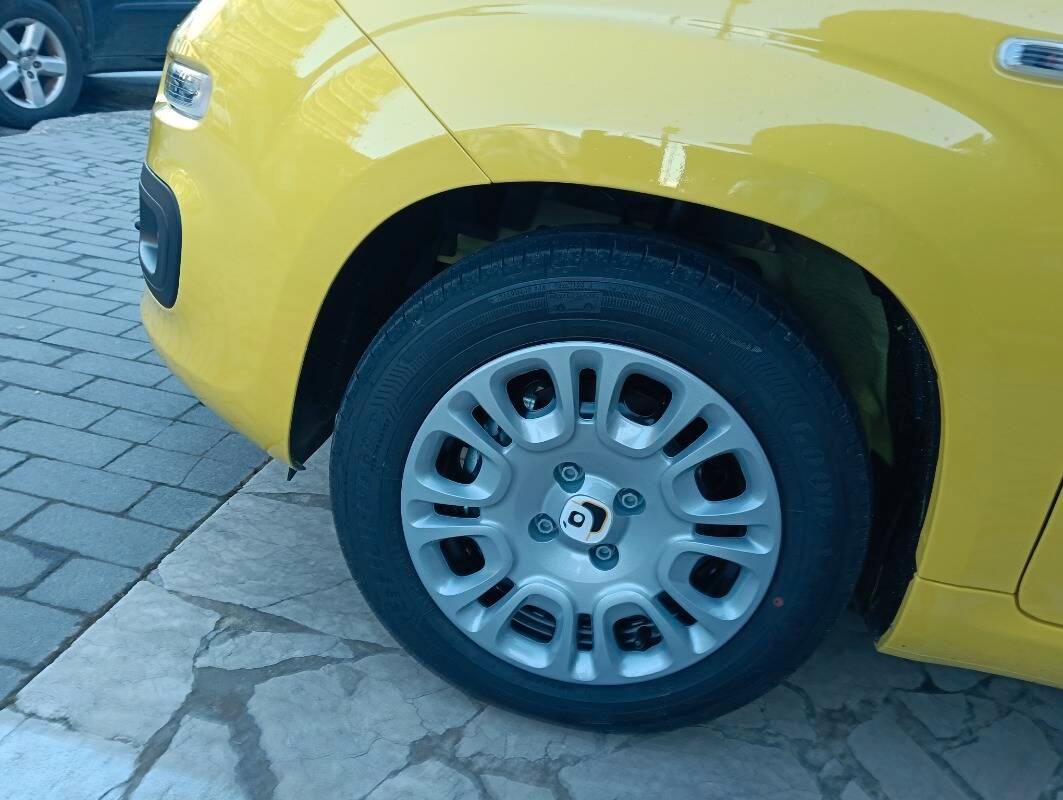 Fiat Panda 1.0 firefly hybrid Pop s&s 70cv
