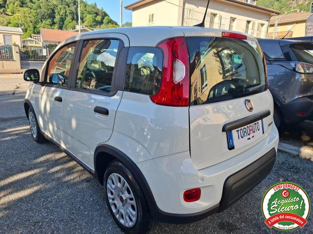 FIAT Panda 1.0 FireFly S&S Hybrid UNICO PROPRIETARIO