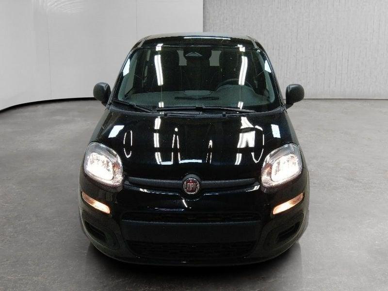 FIAT Pandina 1.0 firefly hybrid Pop s&s 70cv