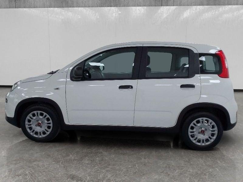 FIAT Panda 1.0 firefly hybrid s&s 70cv 5p.ti