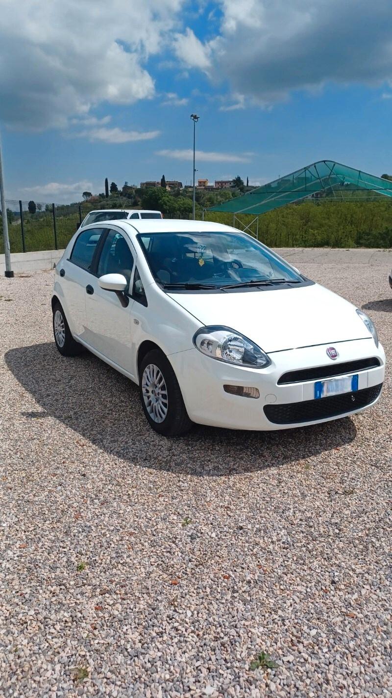 FIAT Punto 4ª serie Punto 1.2 8V 5 porte Street