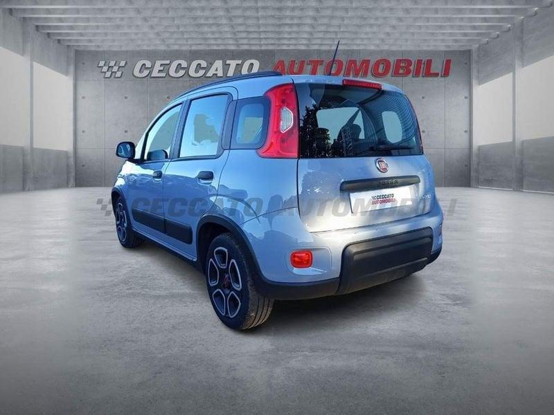 FIAT Panda Panda 1.0 firefly hybrid City Life s&s 70cv 5p.ti