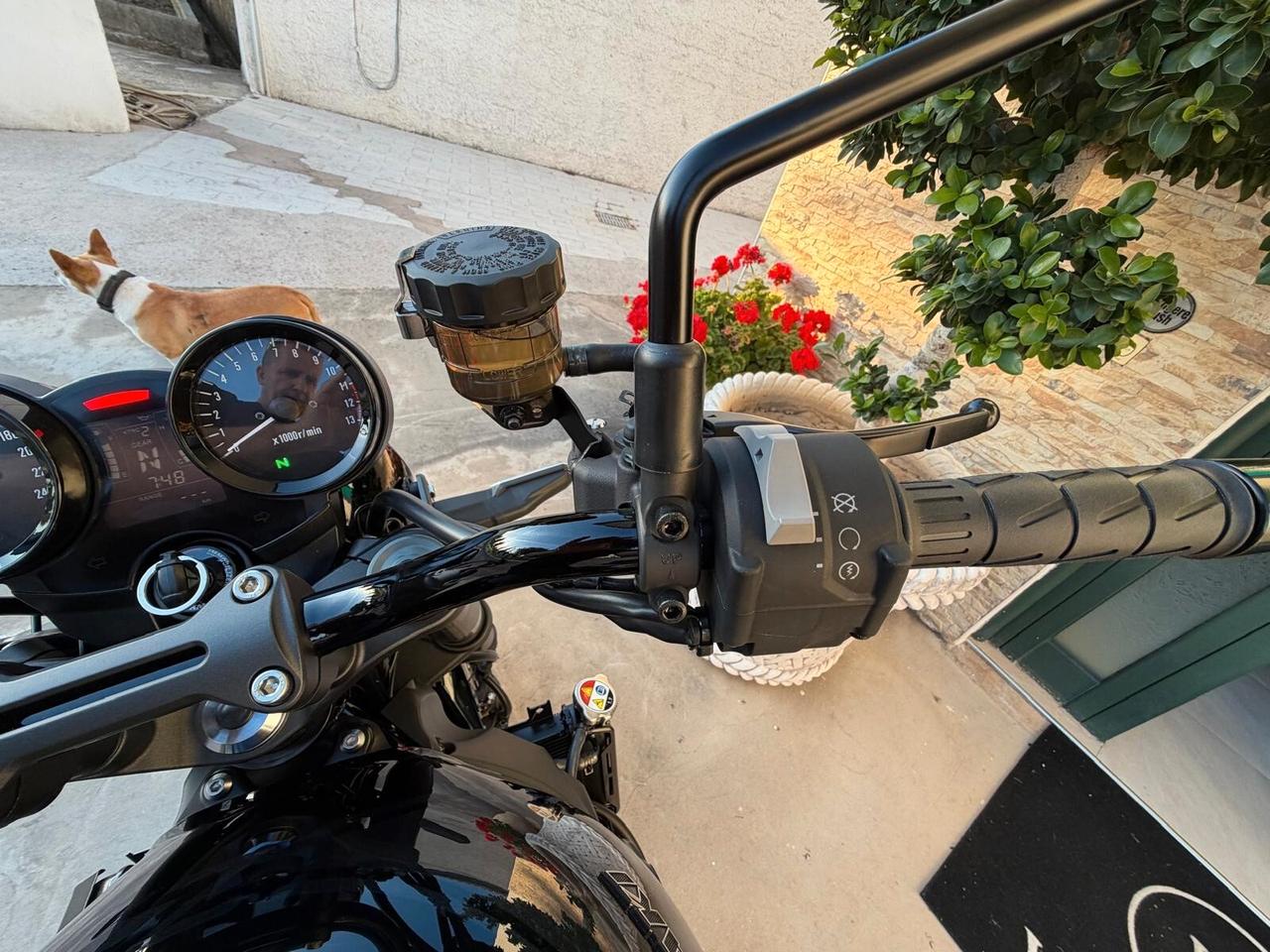 Kawasaki Z 900 RS Black ball edition