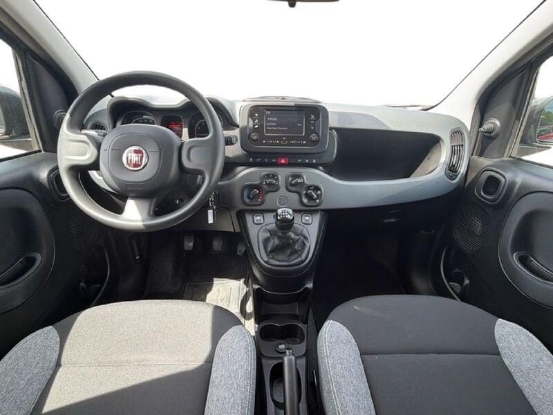 FIAT Panda Panda 1.0 firefly hybrid s&s 70cv
