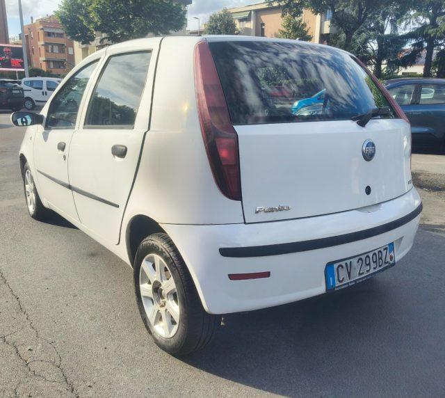 FIAT Punto 1.3 Multijet 16V 5 porte Dynamic Ok Neopatentati