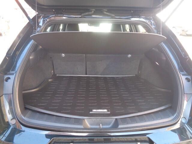 Lexus UX 250 Hybrid Business NO VINCOLO DI FINANZIAMENTO