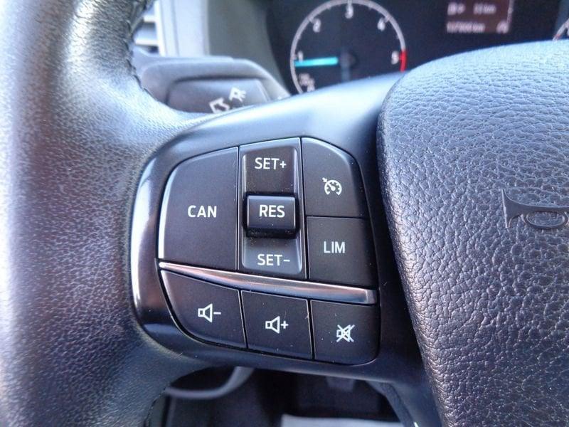 Ford Transit Custom Transit Custom 280 2.0 TDCi 130 MHEV PC Trend + IVA