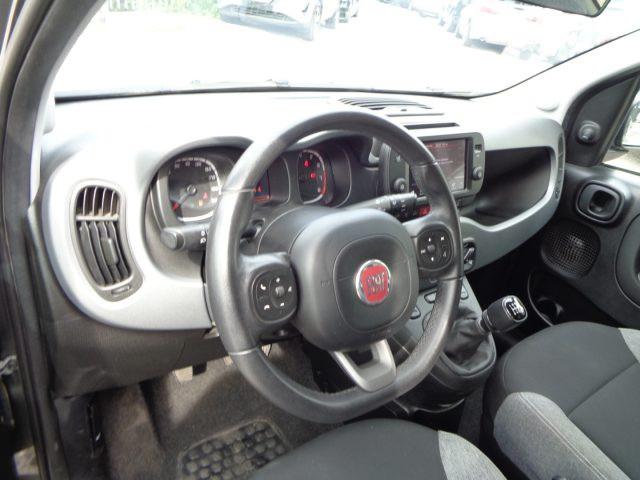 FIAT Panda 1000 HYBRID CITY LIFE 70CV 5 POSTI CARPLAY ITALIA