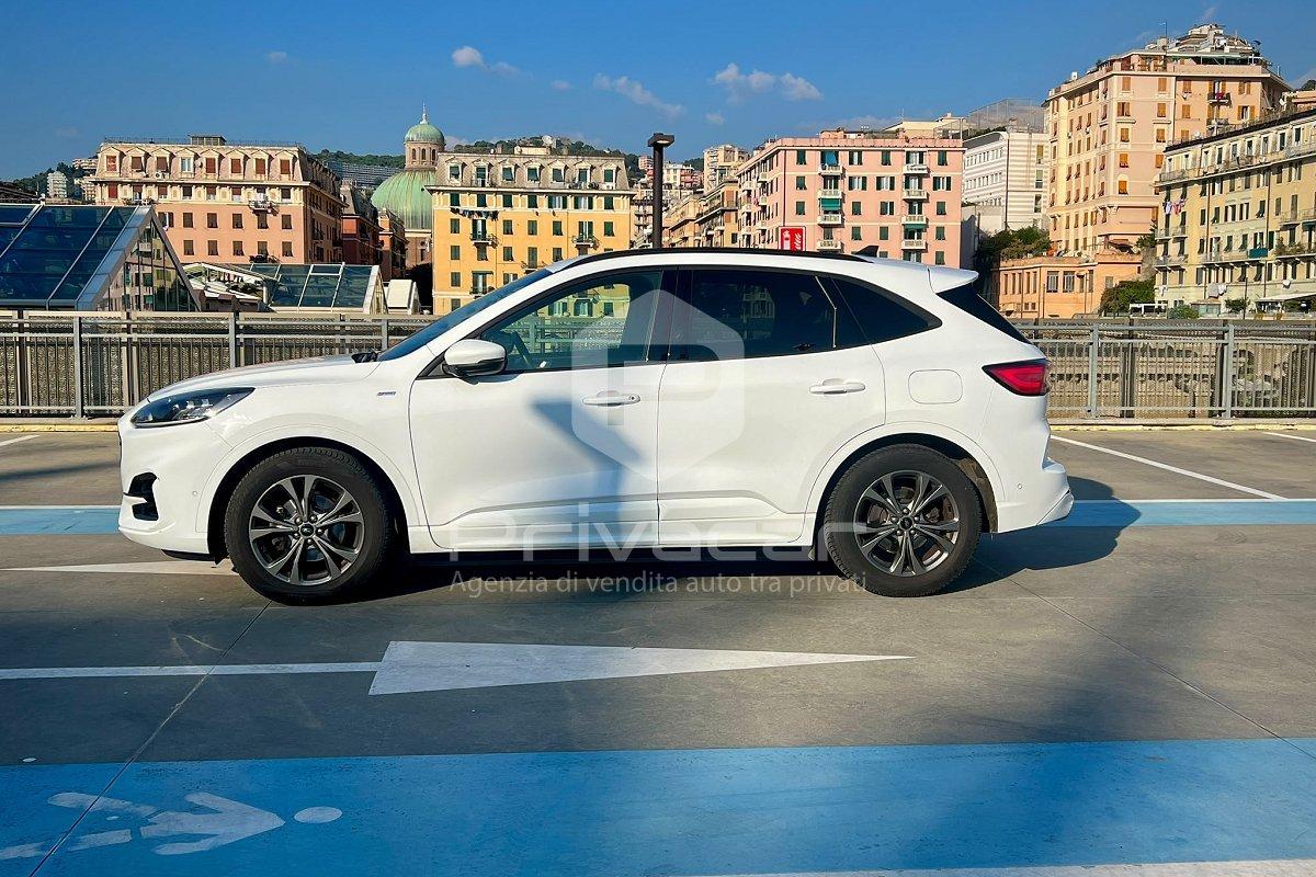 FORD Kuga 1.5 EcoBlue 120 CV aut. 2WD ST-Line