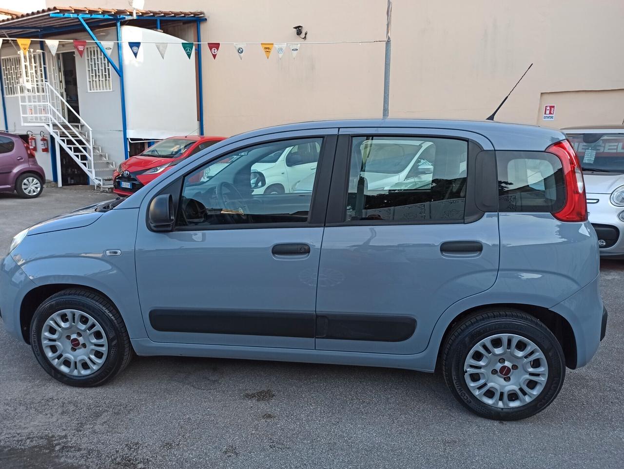 Fiat Panda 1.2 69 cv S&S Connected by Wind