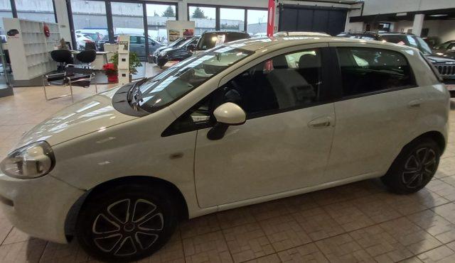 FIAT Punto 1.2 8V 5 porte Easy