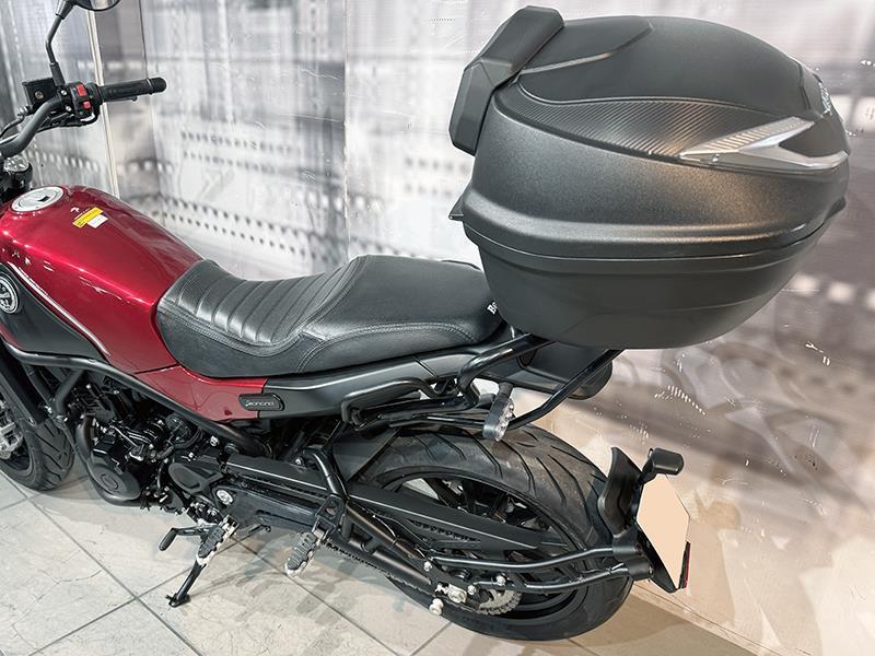 Benelli Leoncino 500