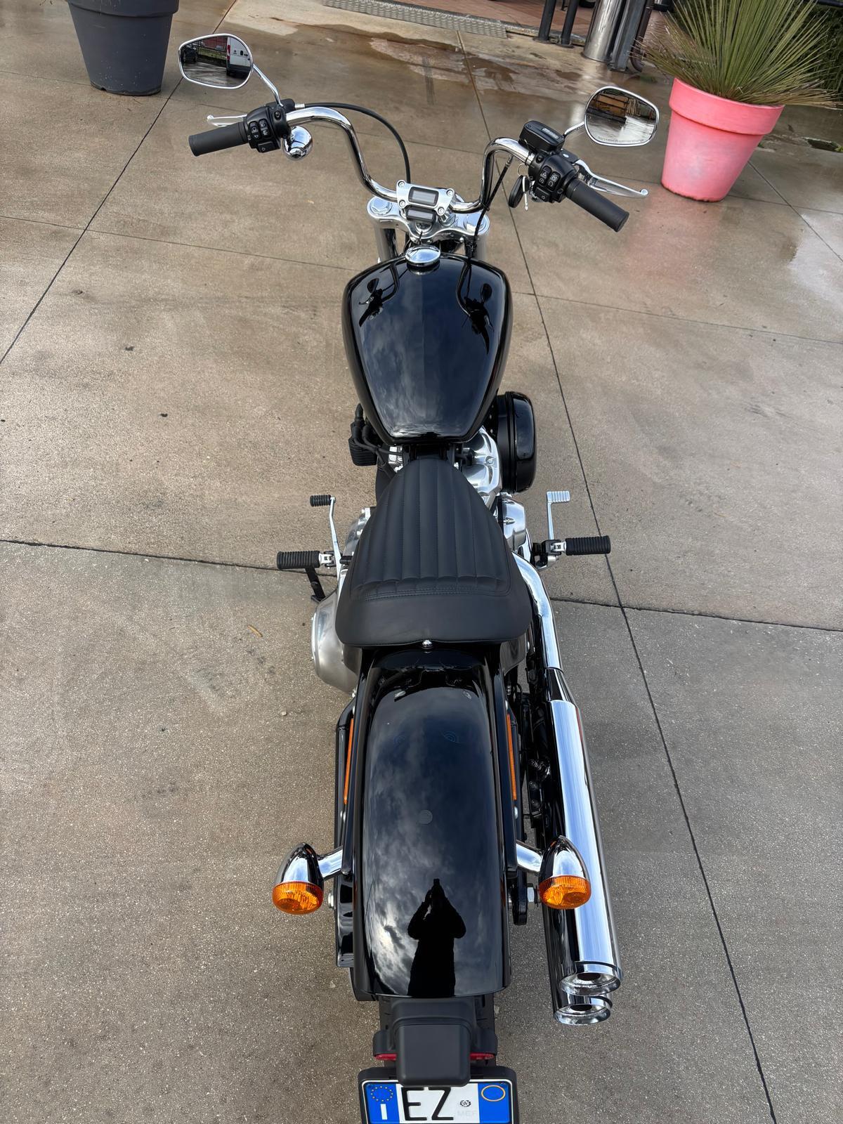 Harley-davidson Softail Standard - 2022