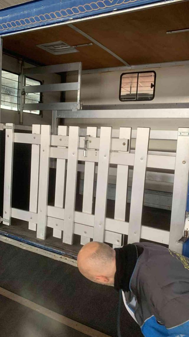 IVECO Daily 35C12 2.3 Hpi Trasporto Cavalli Patente B !!!