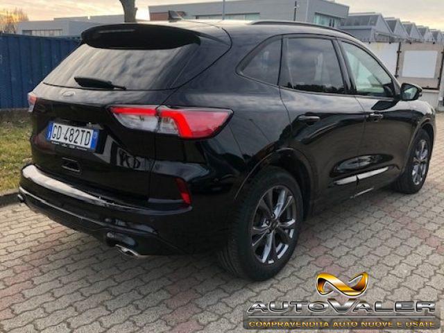 FORD Kuga 1.5 EcoBlue 120 CV Cambio aut. ST-Line