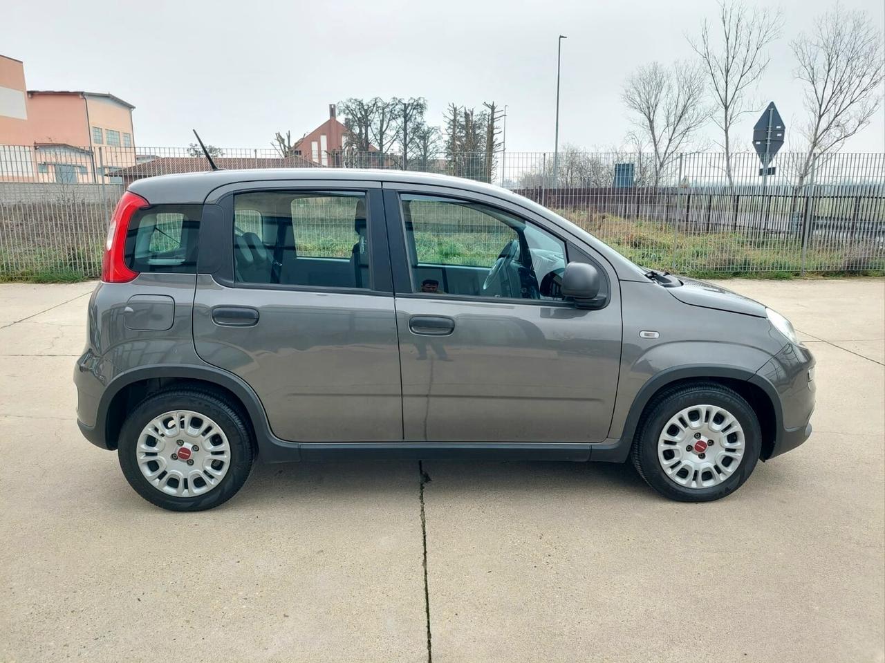 FIAT Panda 1.0 FireFly S&S Hybrid 5 posti - 2023