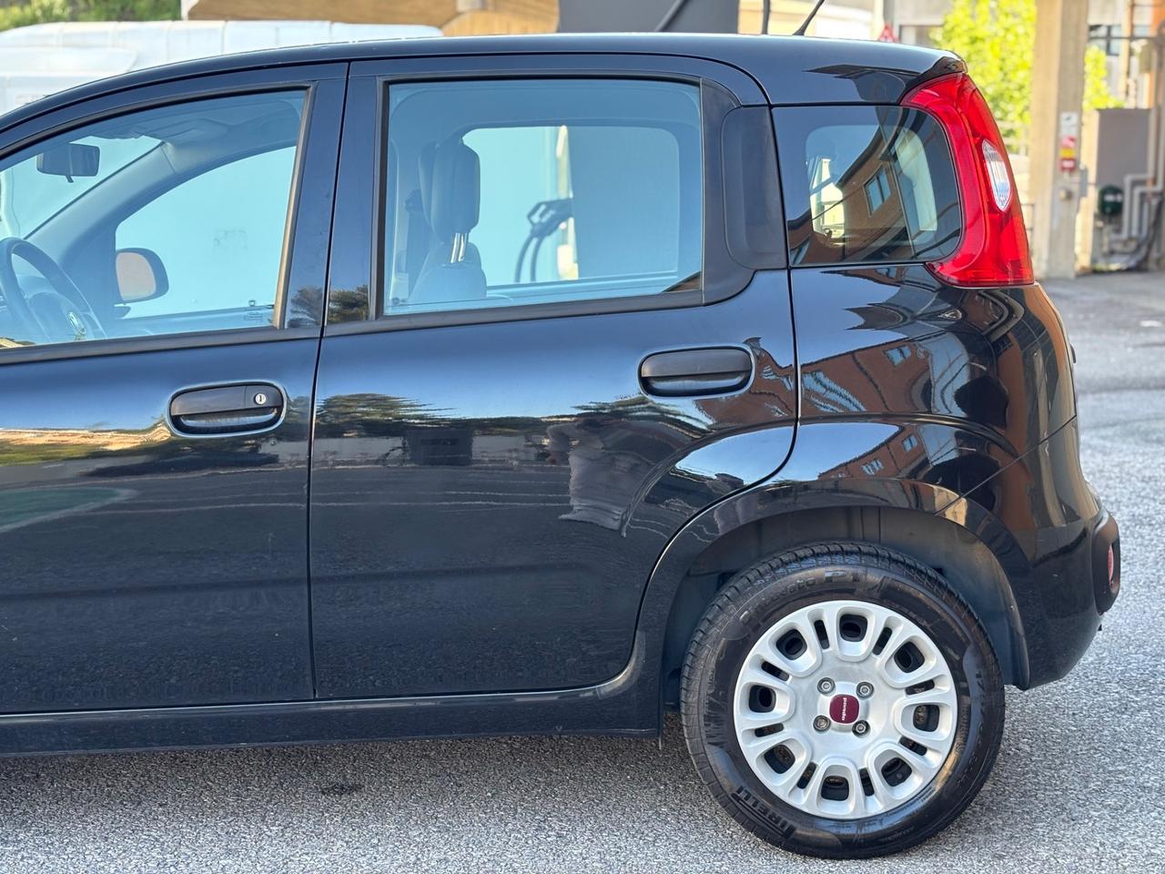 FIAT PANDA 1.2 BENZINA 5 posti PERFETTA