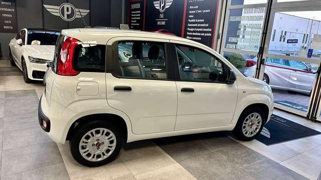 Fiat Panda 1.2 69CV S&S E6d-Temp Easy +NeoPatentato