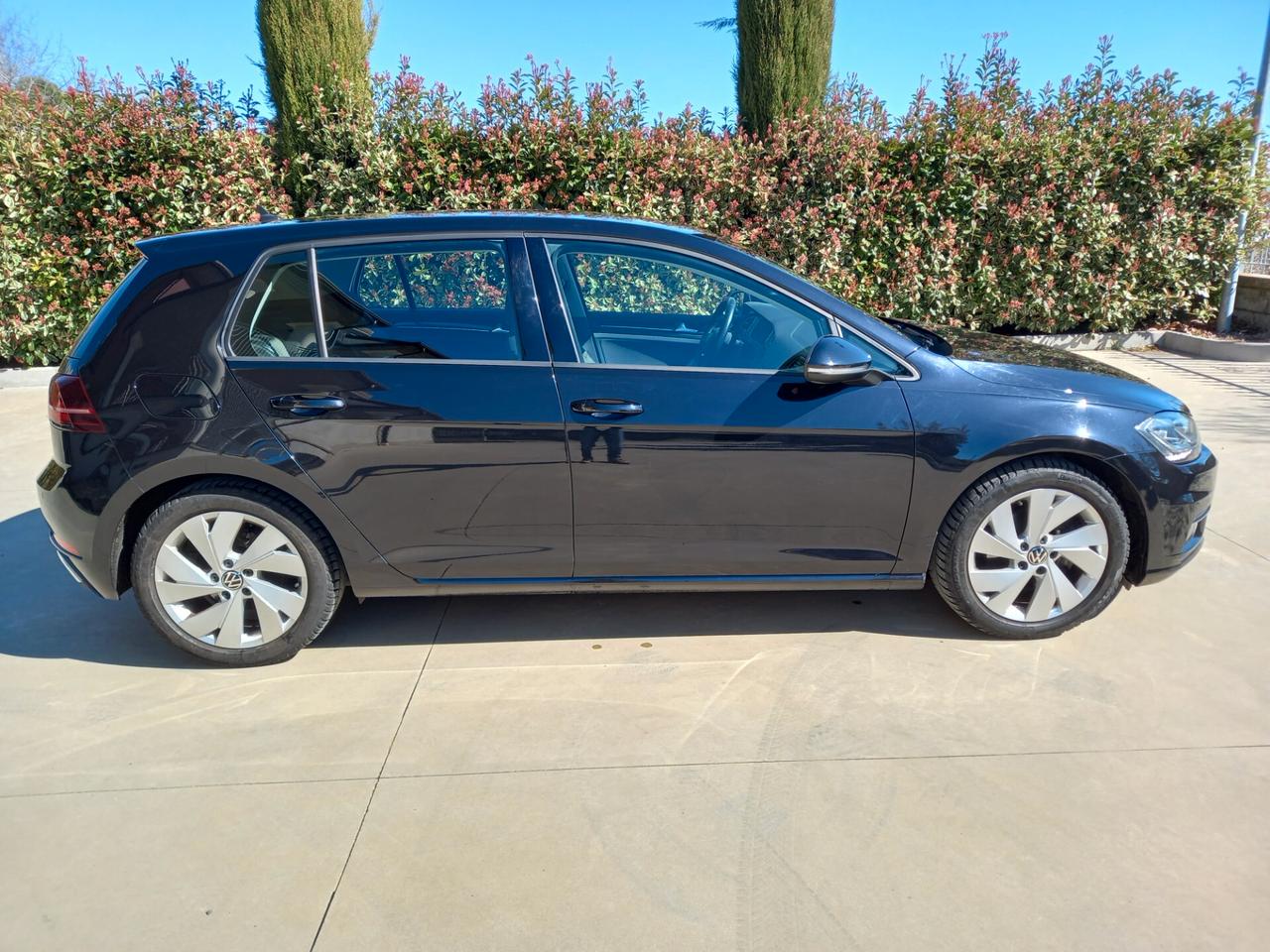 Volkswagen Golf 1.6 TDI 115 CV 5p. Executive BlueMotion Technology