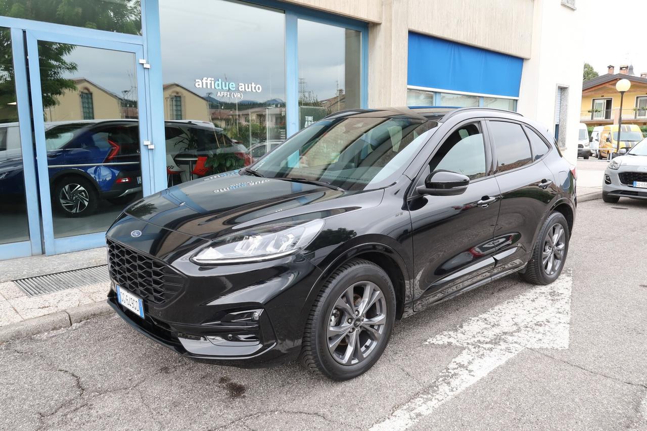 Ford Kuga 1.5 EcoBlue 120 CV aut. 2WD ST-Line