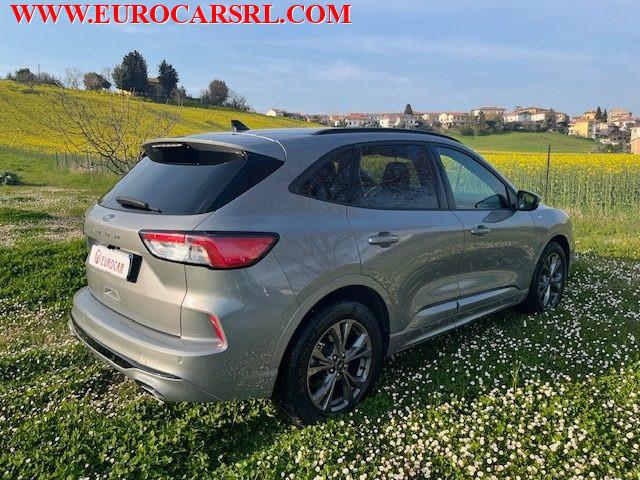 FORD Kuga 1.5 EcoBlue 120 CV 2WD ST-Line