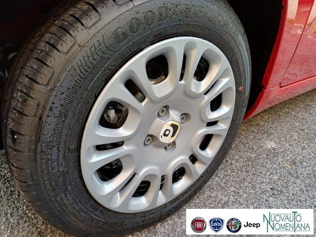 FIAT Panda 1.0 FireFly S&S Hybrid Icon 5°Posto Auto Nuova