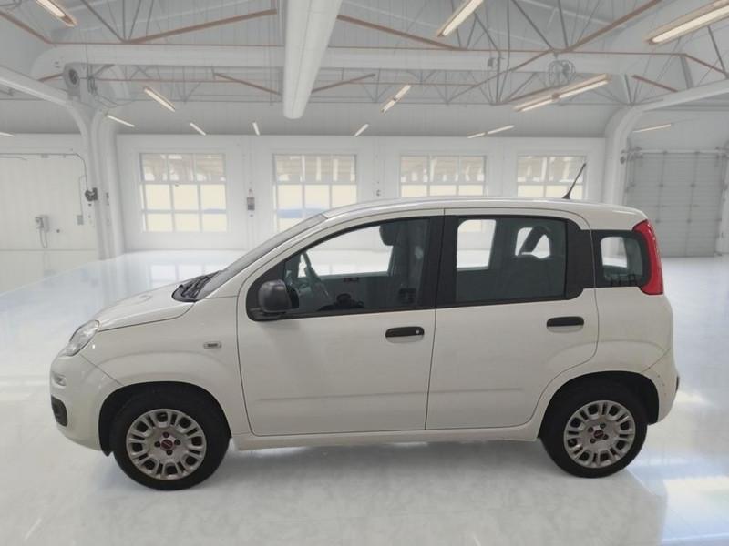 FIAT PANDA 1.2 69 CV SES E6D-TEMP EASY 5 PORTE BERLINA