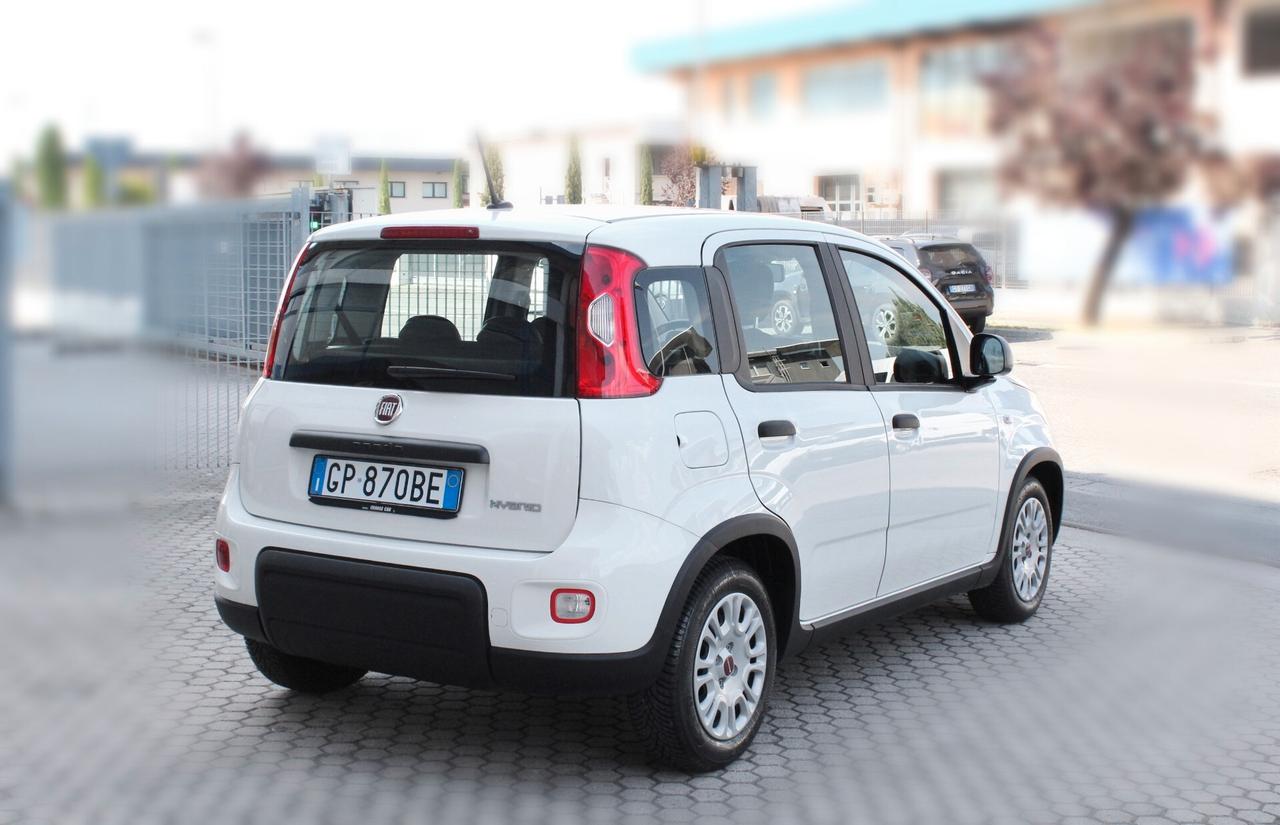 Fiat Panda 1.0 FireFly S&S Hybrid-OK NEOPATENTATI