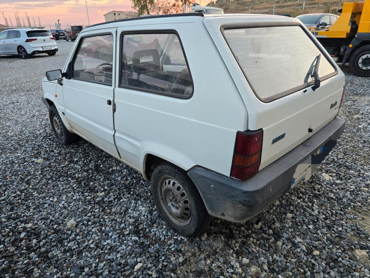 Fiat Panda 900 i.e. cat Young