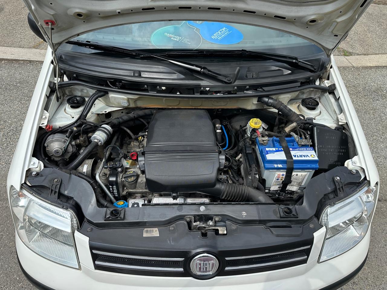 Fiat Panda 1.2 Dynamic GPL