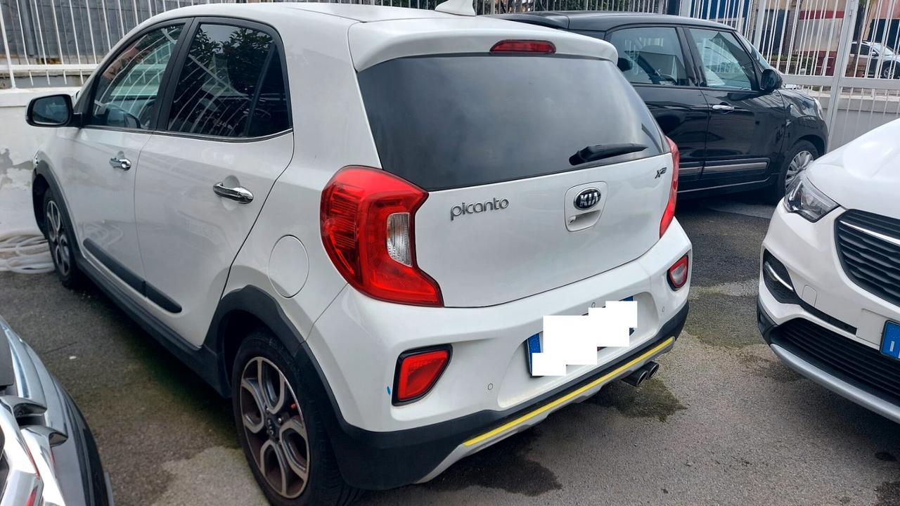 Kia Picanto 1.0 12V 5 porte X line - 2019 ( PICCHIATA)