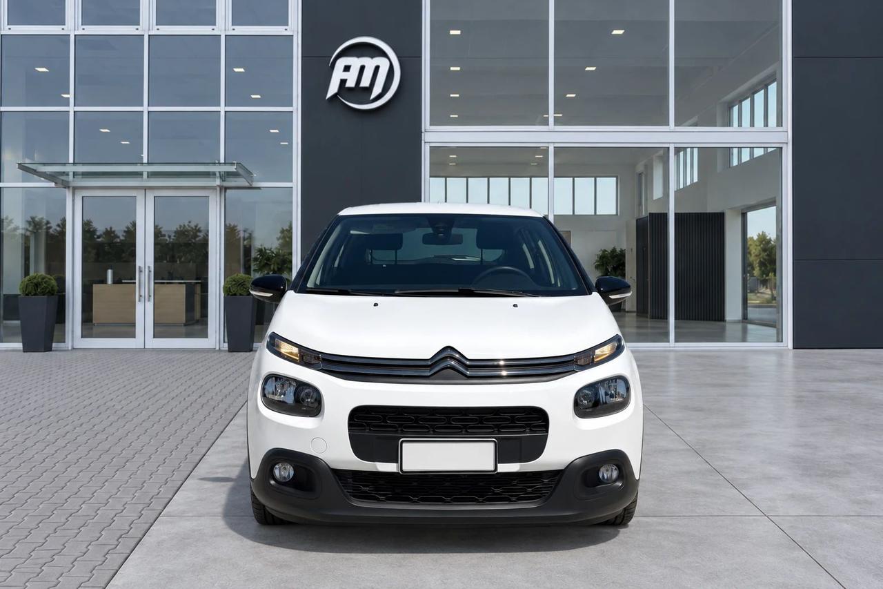 Citroen C3 1.5 100cv van 2 posti